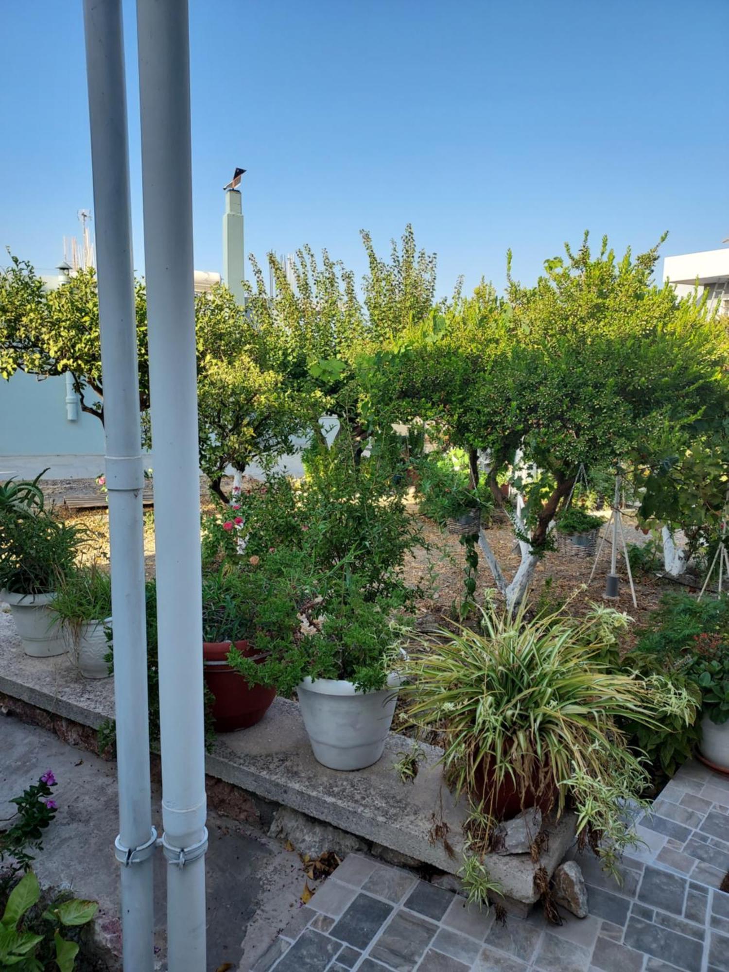 Anastasia'S Garden House Ialysos  Exterior photo